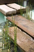 Detail of Equisetum in shallow pool laid with oblong stepping stones - Credit Crunch - The Off-Shore Garden - Silver Flora medal winner for Urban Garden at RHS Chelsea Flower Show 2009