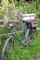 Old bicycle leaning against a rustic wooden fence - The Fenland Alchemist Garden, sponsored by Giles Landscapes - Gold medal winner for Best Courtyard Garden at RHS Chelsea Flower Show 2009 