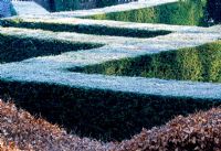 View over the Yew hedging from within the Grasses Parterre, Beech 'wavy' hedge in Foreground - Veddw House Garden, February 