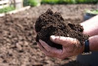 Man holding rich loamy soil in his hands 
