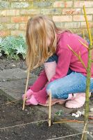 A Child's Garden. Child marking out rows with string and bamboo to plant seeds in an organic vegetable garden. Rows of newly planted seeds include Lettuce, Carrots, Spinach, Parsley, Rocket and Beetroot.