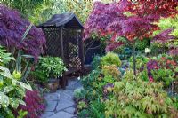 Wooden arbour on crazy paving pathway with many Acers and shrubs at Four Seasons NGS, Staffordshire