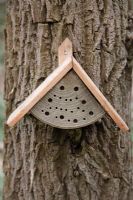 Insect hibernation box to attract lacewings and ladybirds to the garden