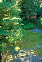 Japanese influenced design of this shady Boston suburban garden. Aerial view, from the deck to small Pagoda, weeping beech tree and woodland