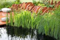 Sarracenia flava reflected in water, with wooden staging and Aqualegia canadensis - The Foreign and Colonial Investments Garden, Sponsored by Foreign and Colonial Investment Trust, Contractor The Outdoor Room - Silver Flora medal winner at RHS Chelsea Flower Show 2009 
