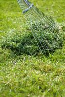 Raking up grass clippings