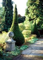 Buxus sempervirens topiary - Lower House, Cusop, Near Hay-On-Wye