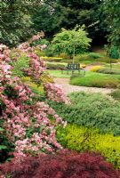 Acer palmatum and Weigela 'Abel Carriere' at the edge of the Clematis and Laburnham Walk with a view into Summer Heather Garden - The Garden at The Bannut