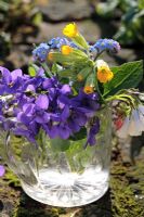 Spring posie of wildflowers - Viola, Primula veris, Mysotis and Symphytum in antique glass jug, derived from native species typical of Britain