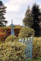 Gate in back garden made by Steve Pibworth, Ilex aquifolium 'Argentea Marginata Pendula', either side of gate - Highfield Hollies, Liss, Hampshire