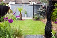 Small urban garden in London with Allium 'Purple Sensation'