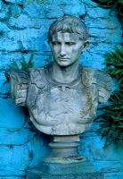 One of three busts in Niche and Asplenium celerach - Plas Brondanw