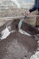 Adding wood ash to soil and compost mix for use in raised beds
