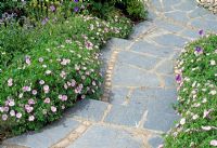 Steps either side of Geranium beds