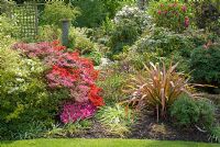 Borders of mature shrubs and trees with Azaleas, Rhododendrons and Phormium 'Sundowner' at 69 Well Lane, NGS garden, Cheshire