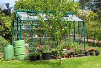 Greenhouse with water butts at 69 Well Lane, NGS garden Cheshire 