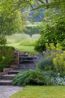 Curved steps leading up to wildflower meadow with mown pathways, Hayes Farmhouse