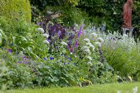 Borders at front of house with Allium stipitatum 'Mount Everest' and Salvia patens, Hayes farmhouse, East Sussex