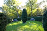 Hedges of Taxus baccata 'Hicksii' and two fastigiate Irish yews, Dumbarton Oaks, Washington DC