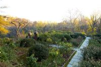 The Rose Garden with clipped boxwoods and normally around 900 roses, Dumbarton Oaks, Washington DC