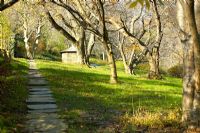 Stepping stone path leading through Cherry Hill, Dumbarton Oaks, Washington DC