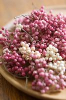 Peppercorns still in their pink outer case