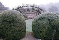 Large clipped Buxus balls, Heale House Gardens, Wiltshire in frost