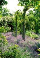Very romantic large circular rose arbour, underplanted with Nepeta x faassenii 