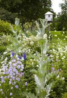 White colour themed border of herbaceous perennials with a splash of blue Delphinium and Campanula, white wooden dovecote in background - Woodpeckers, Warwickshire