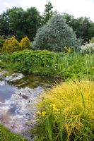 Garden pond edged with water plants and mature trees - Woodpeckers, Warwickshire