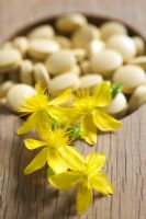 Hypericum perforatum - St. Johns Wort flowers and pills