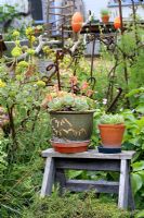 Recycled fencing made from buoys, driftwood and rusty metal in flowerbeds, old wooden step ladder with succulents in pots