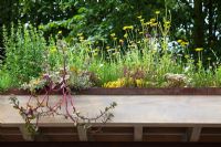 Detail of the green roof planting including Sedum 'Coca Cola', Sedum telephium 'Red Cauli', Origanum, Dianthus and Achillea in 'The Rain Chain' sustainable garden at RHS Hampton Court Flower Show 2009