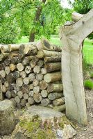 Log wall on edge of Education garden - Sir Harold Hillier Gardens/Hampshire County Council, Romsey, Hants, UK