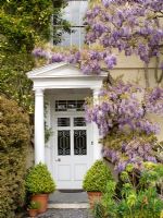 Wisteria over the front door of Lady Anne's House, RHS Rosemoor 