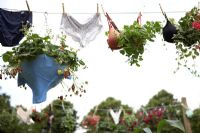 Grow Your Own Bra-skets and Plant-pants - RHS Hampton Court Flower Show 2009