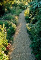 Path in the Shrubbery - Llanllyr Garden, Talsan, Ceredigion, Wales