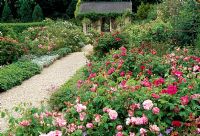 The rose garden with Rosa gallica var. officinalsi and Rosa mundi, Geranium himalayense and view to summerhouse - Llanllyr Garden, Talsman, Wales