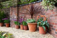 Tulips and Cordyline in pots at Little Larford Cottage, Worcestershire
