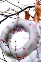 Christmas Ice Wreath with berries and foliage hanging on beech tree