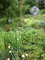 Tapeley Parks permaculture garden 