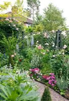 Mixed bed of Sweet Williams, Rosa 'Alnwick Castle', 'Geoff Hamilton' and trellis with Rosa 'Shropshire Lad and 'Prosperity' in a pretty secluded suburban garden - High Trees, NGS, Longton, Stoke-on-Trent, Staffordshire
