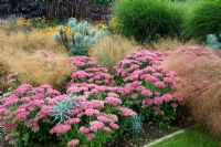 Mixed autumn border with Sedum herbstfreude and grasses