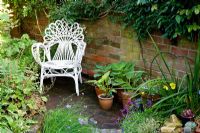 Cliff Hill - Top part of garden with chair rescued from skip. Plants include Allium schoenaprasum - Chives, Aubrietia, Heuchera, Meconopsis cambrica - Welsh poppy, Echeveria elegans 