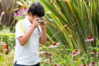 Young boy photographing flowers