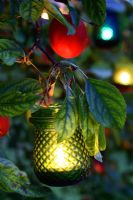 Glass lantern hanging in an apple tree at night