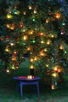 Glass lanterns hanging in an apple tree at night with rustic table beneath