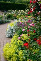 The Rose Garden at RHS Rosemoor with R Gertrude Jeckyll' AGM centre