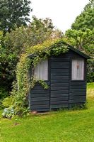 Blue painted shed in Eastgrove Cottage Garden