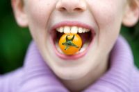 Young girl eating a Sungold F1 Cherry tomato